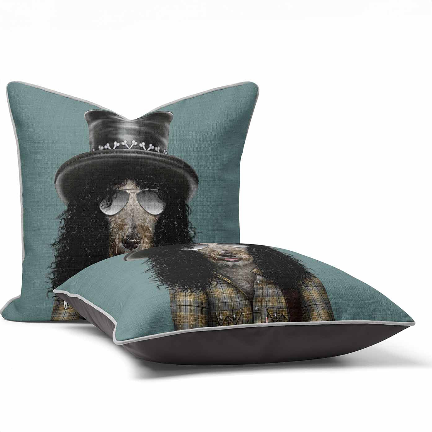 Gnash - Pets Rock Cushion