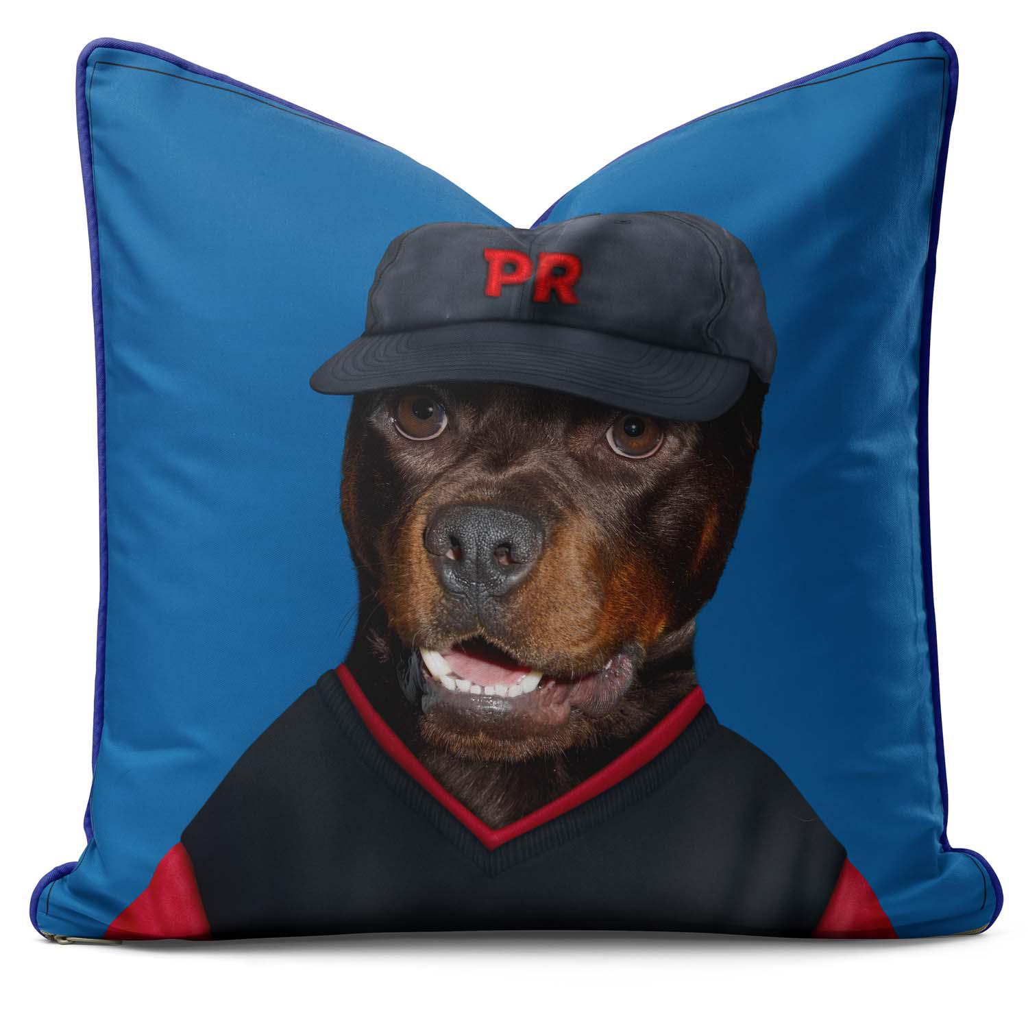 Golf - Pets Rock Cushion