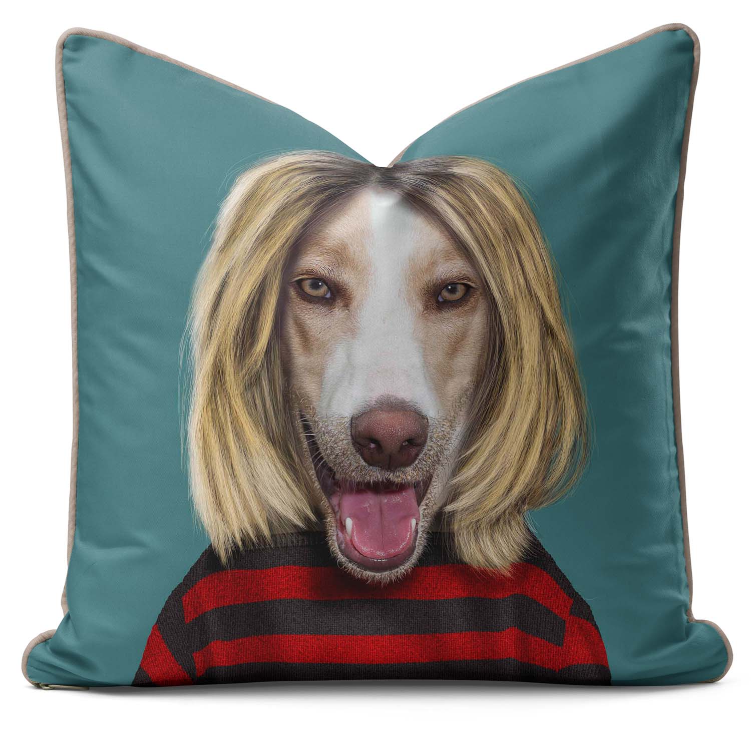 Grunge - Pets Rock Cushion