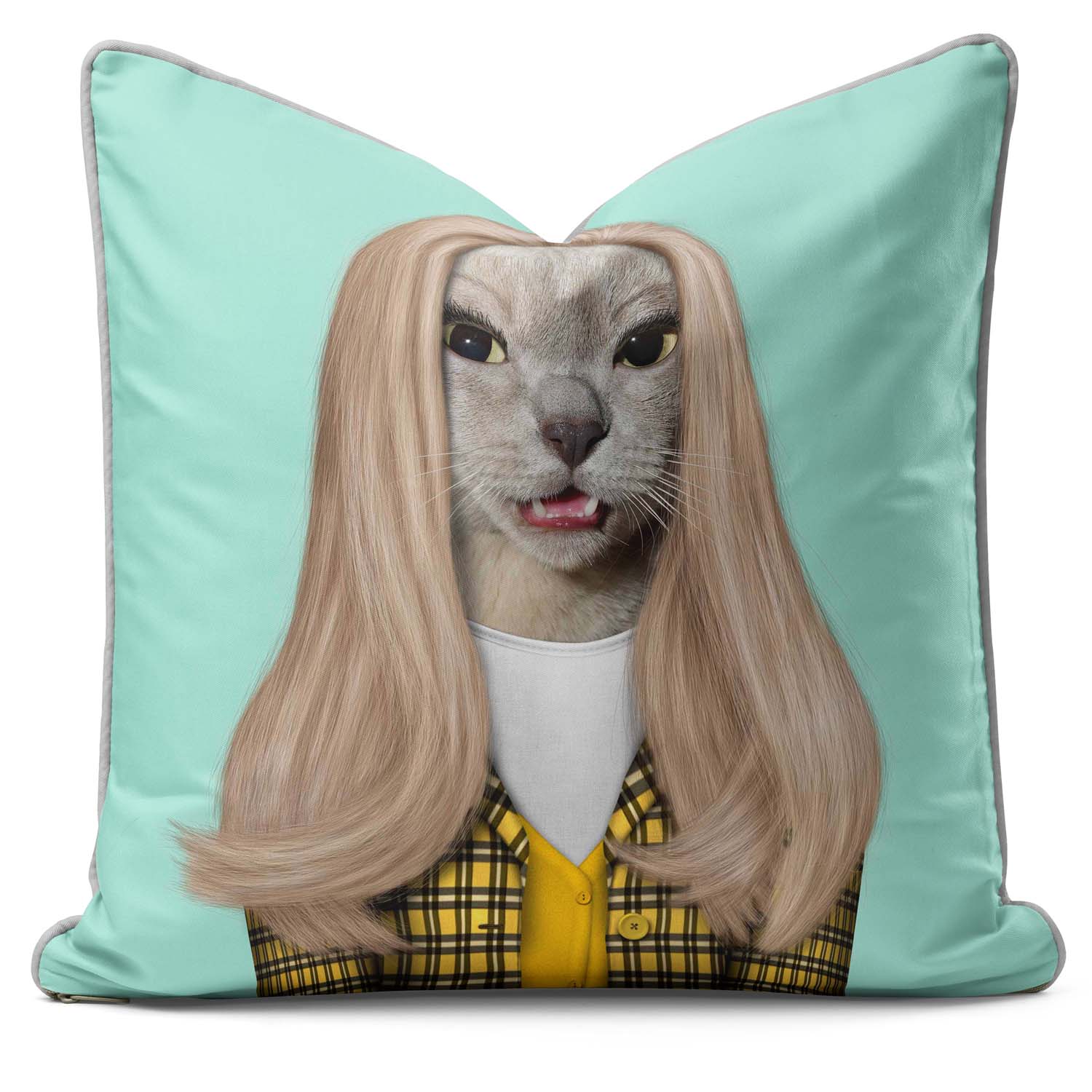 High School - Pets Rock Cushion