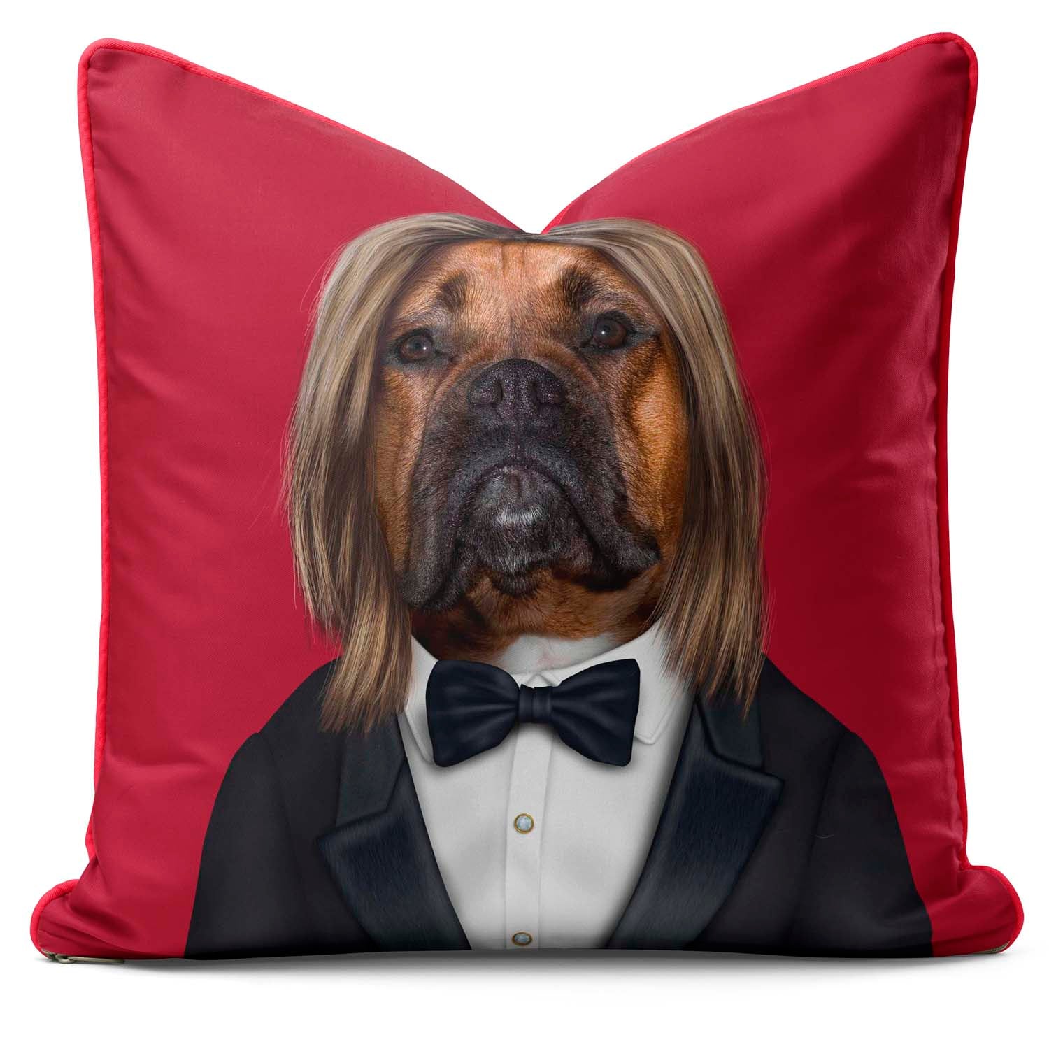 Hollywood Man - Pets Rock Cushion