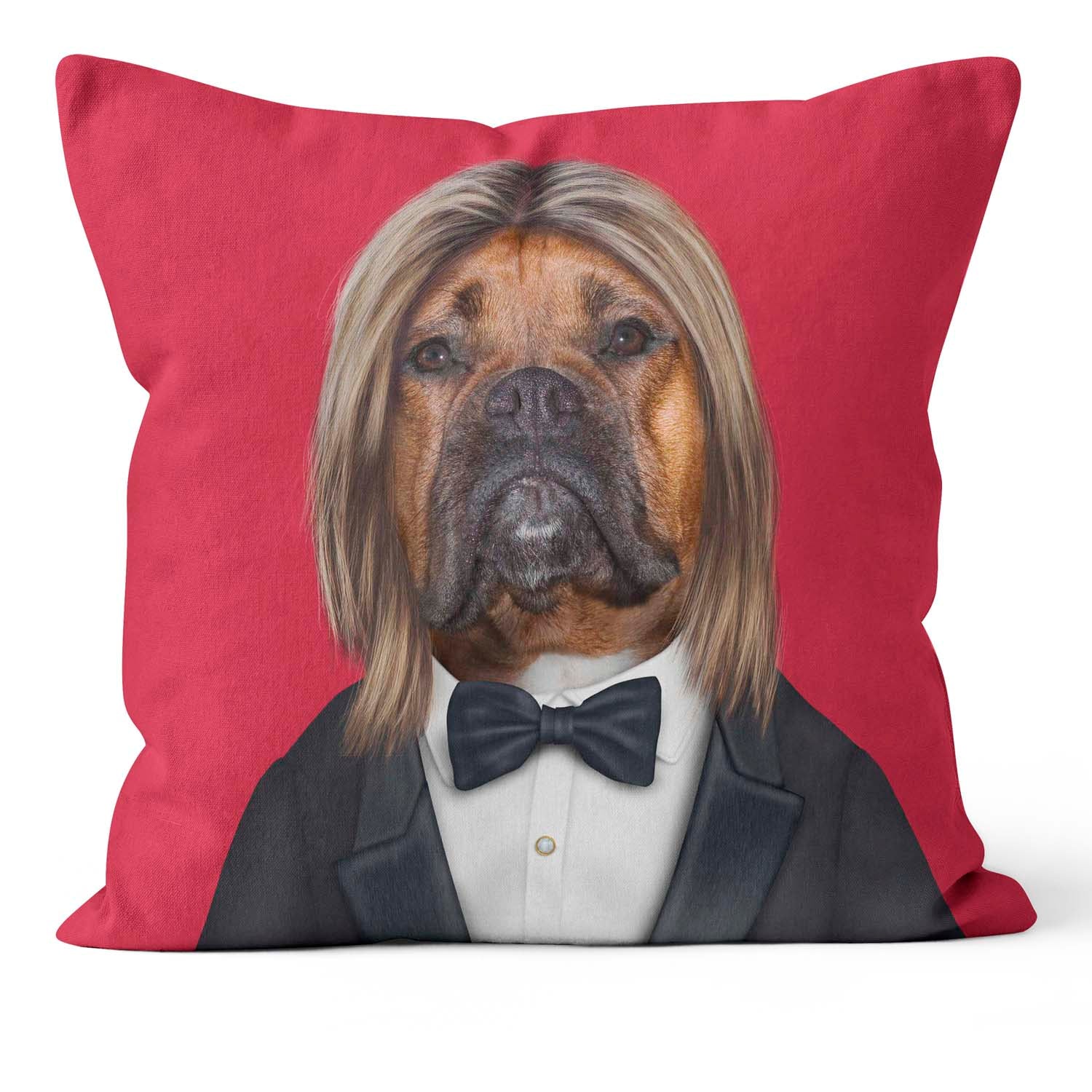 Hollywood Man - Pets Rock Cushion