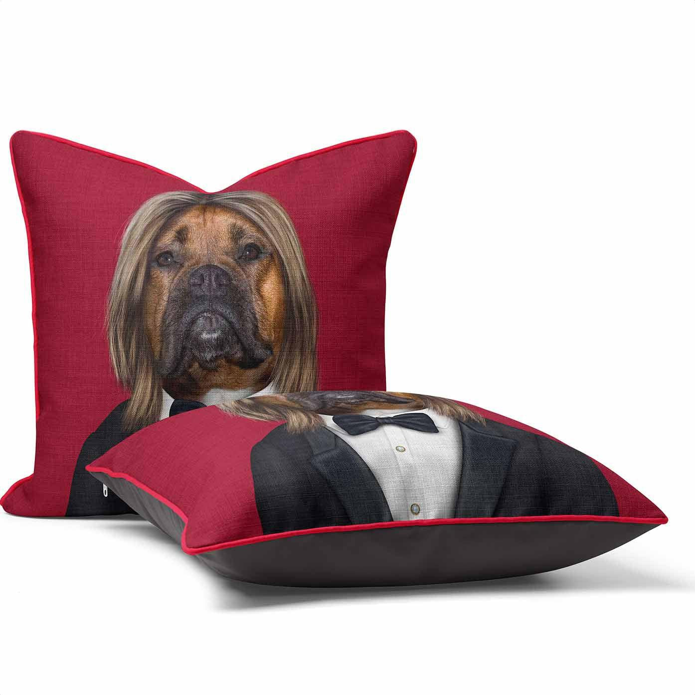 Hollywood Man - Pets Rock Cushion