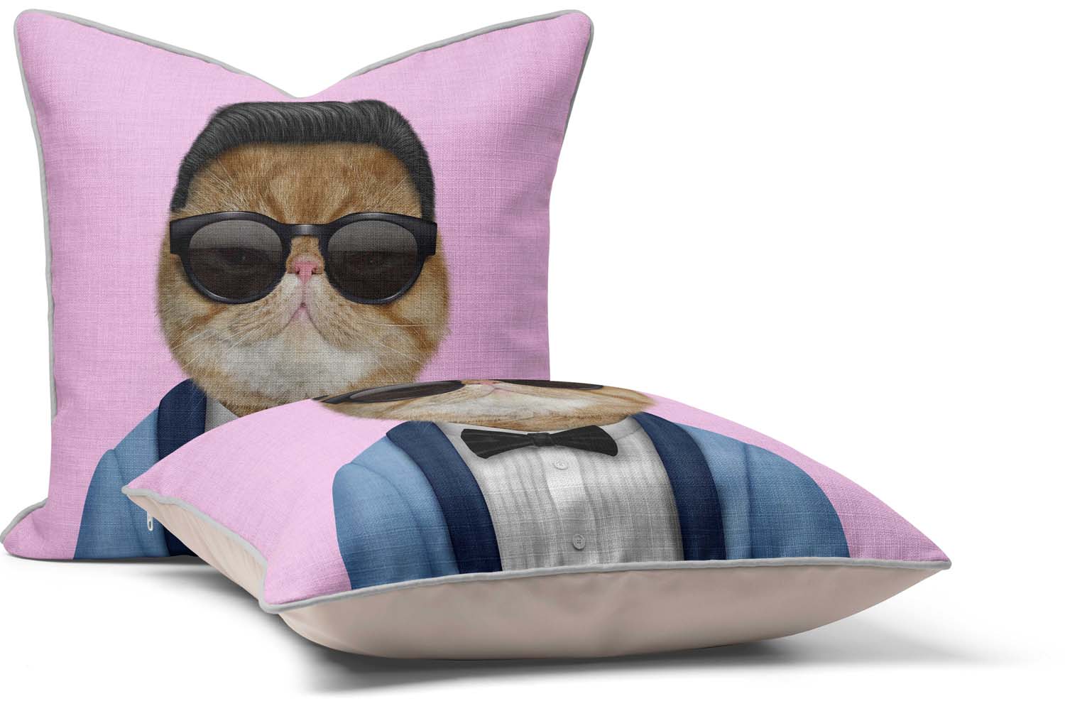 Korea - Pets Rock Cushion