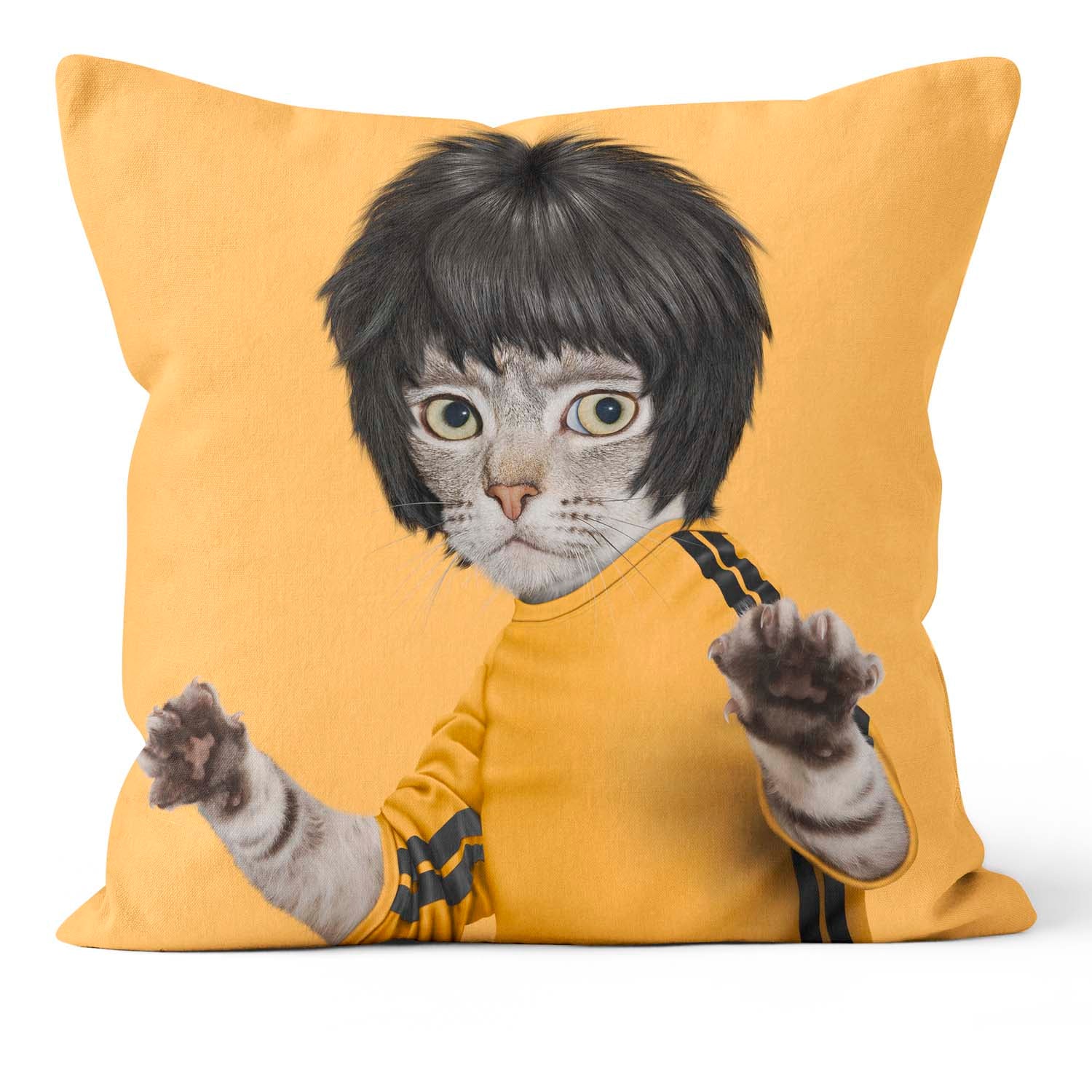 Kung Fu - Pets Rock Cushion