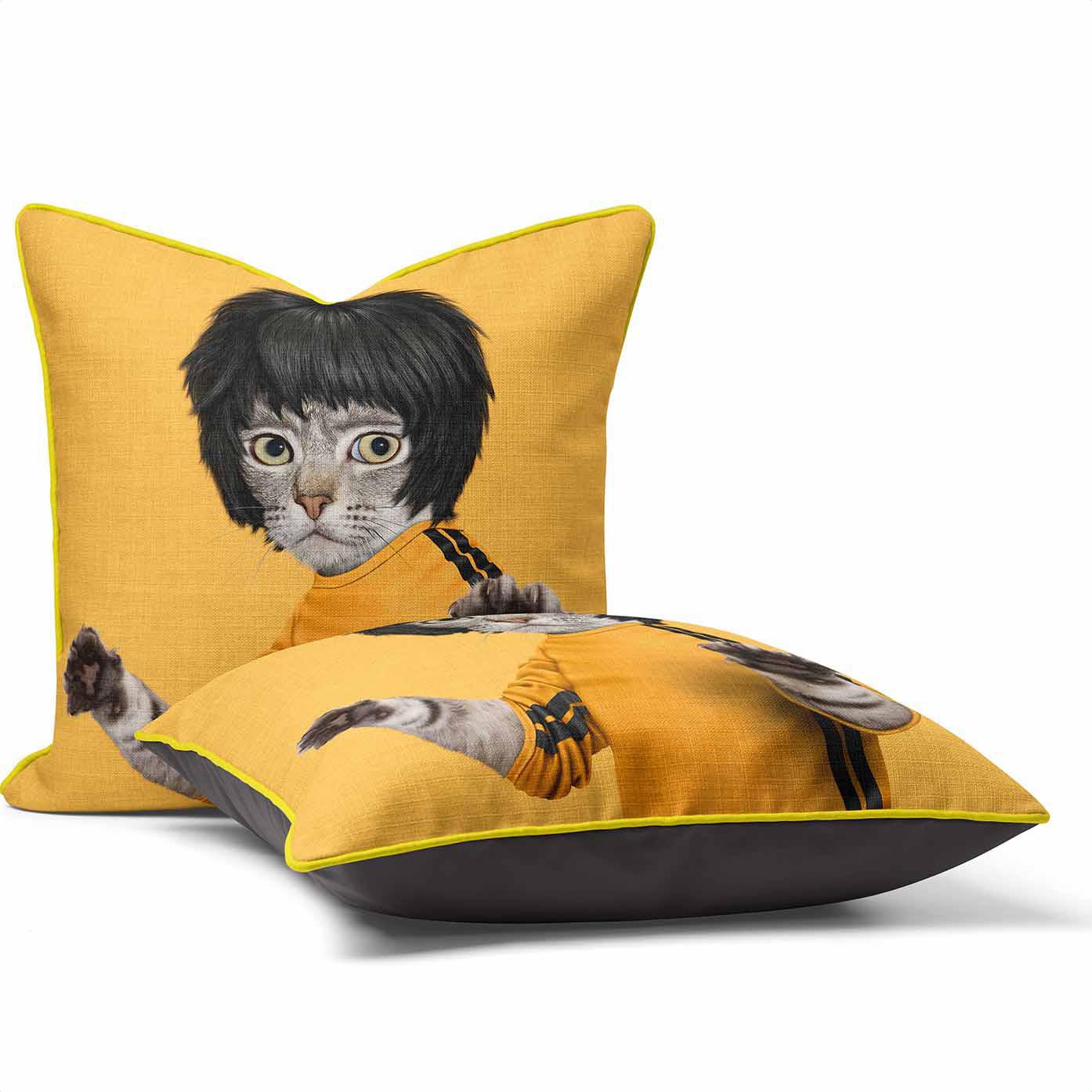 Kung Fu - Pets Rock Cushion