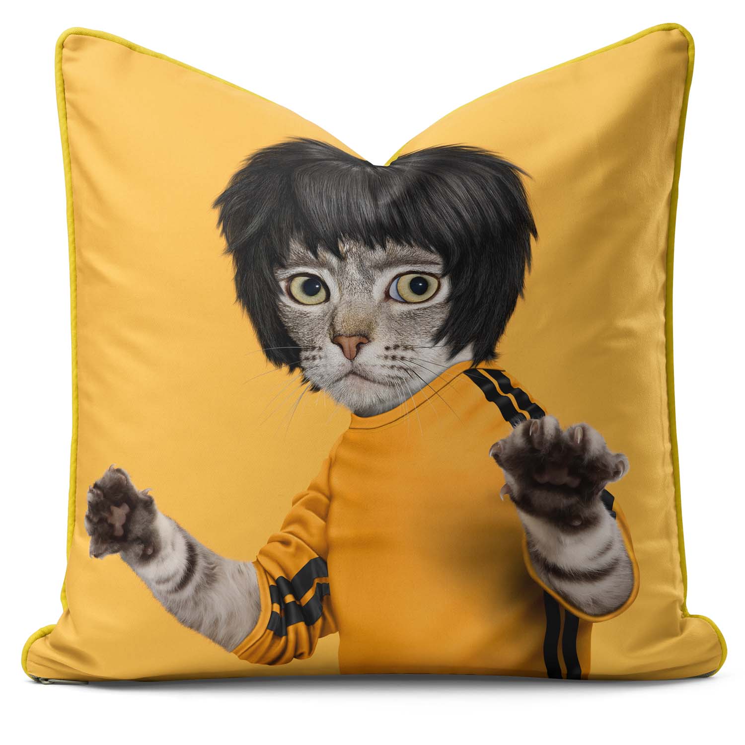 Kung Fu - Pets Rock Cushion