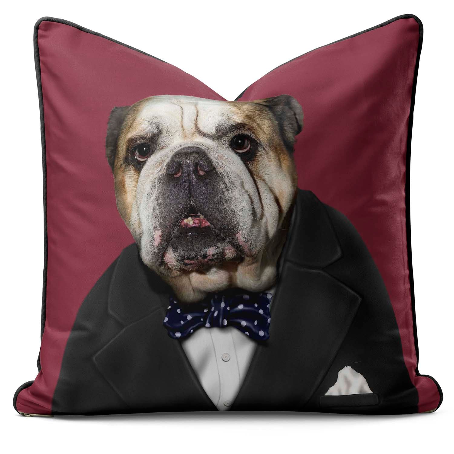 Leader - Pets Rock Cushion