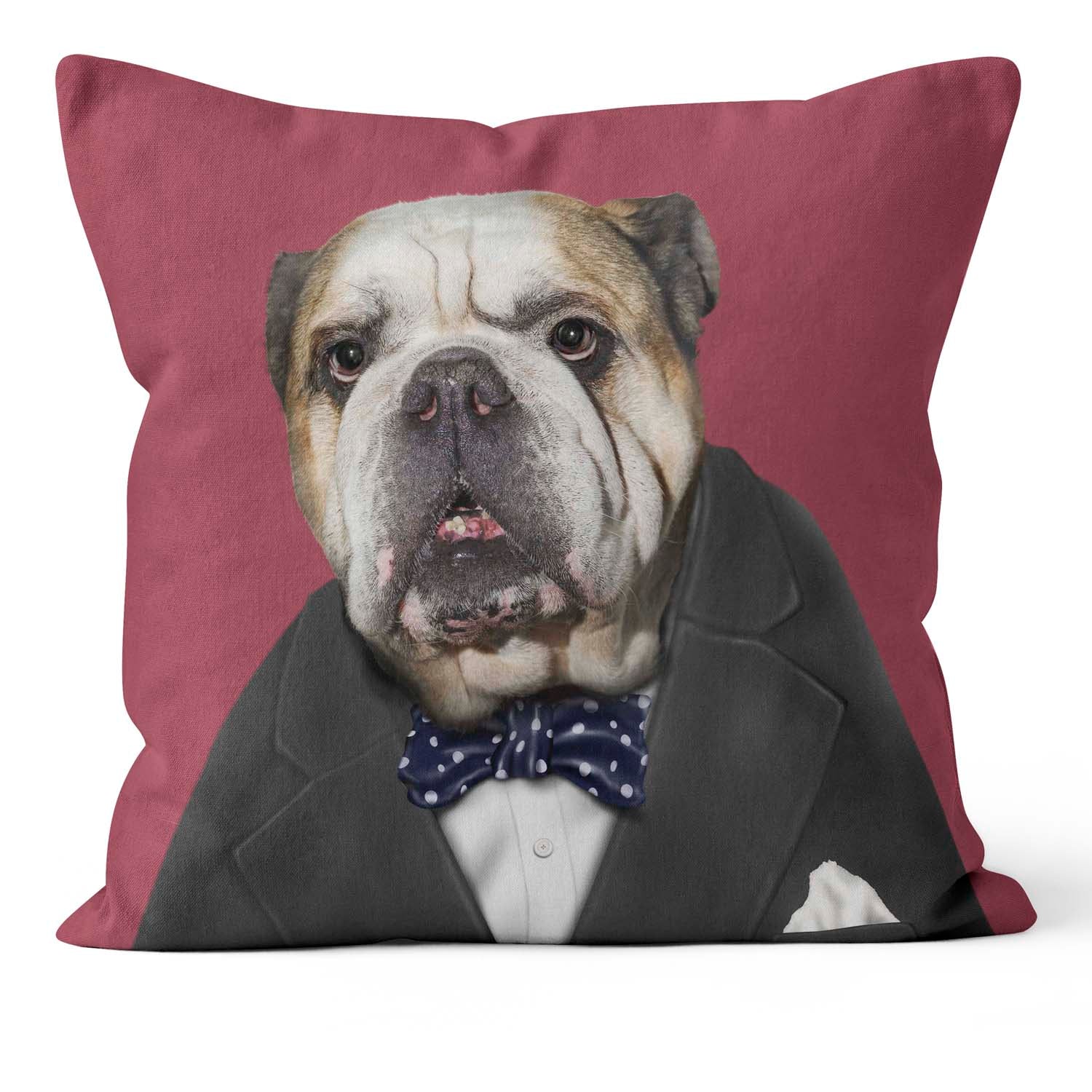 Leader - Pets Rock Cushion