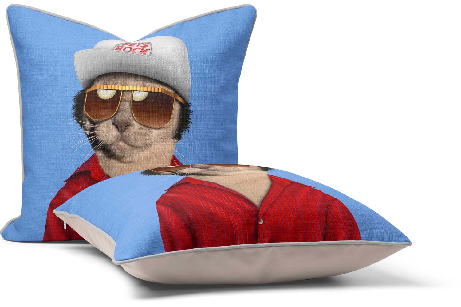 Mr. Mercury - Pets Rock Cushion