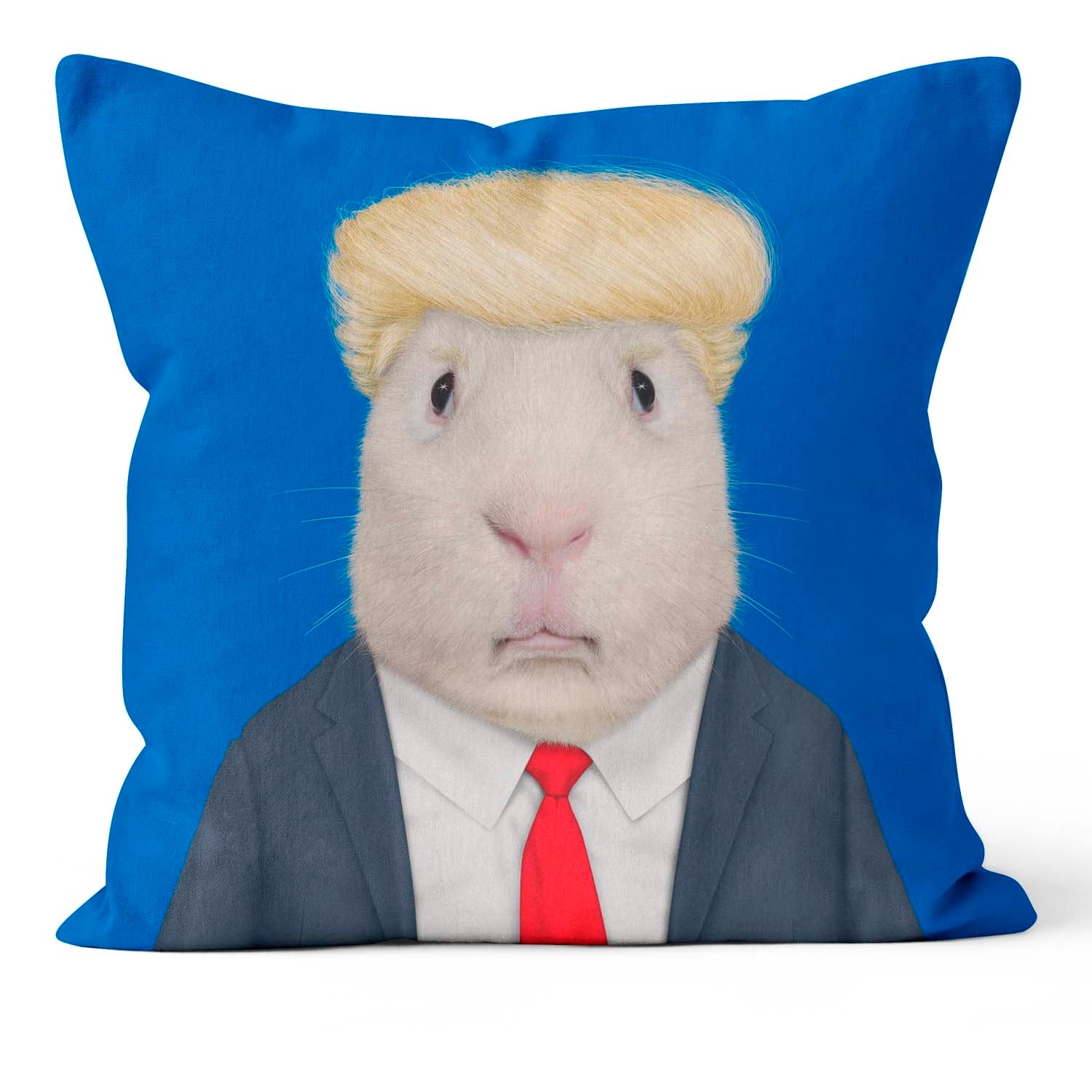 Mr Orange - Pets Rock Cushion