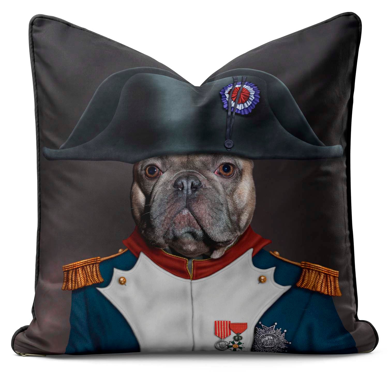 Napoleon - Pets Rock Cushion