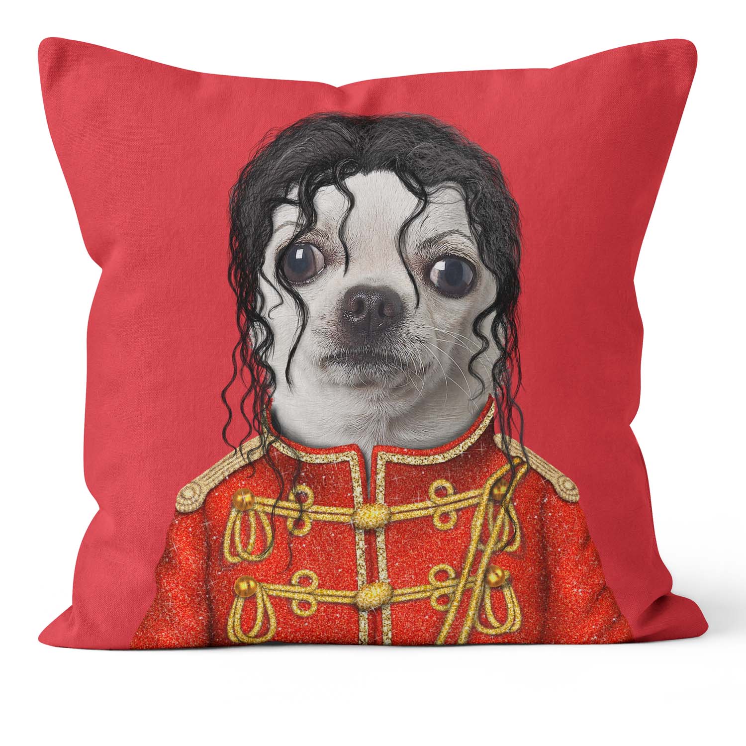 Pop - Pets Rock Cushion