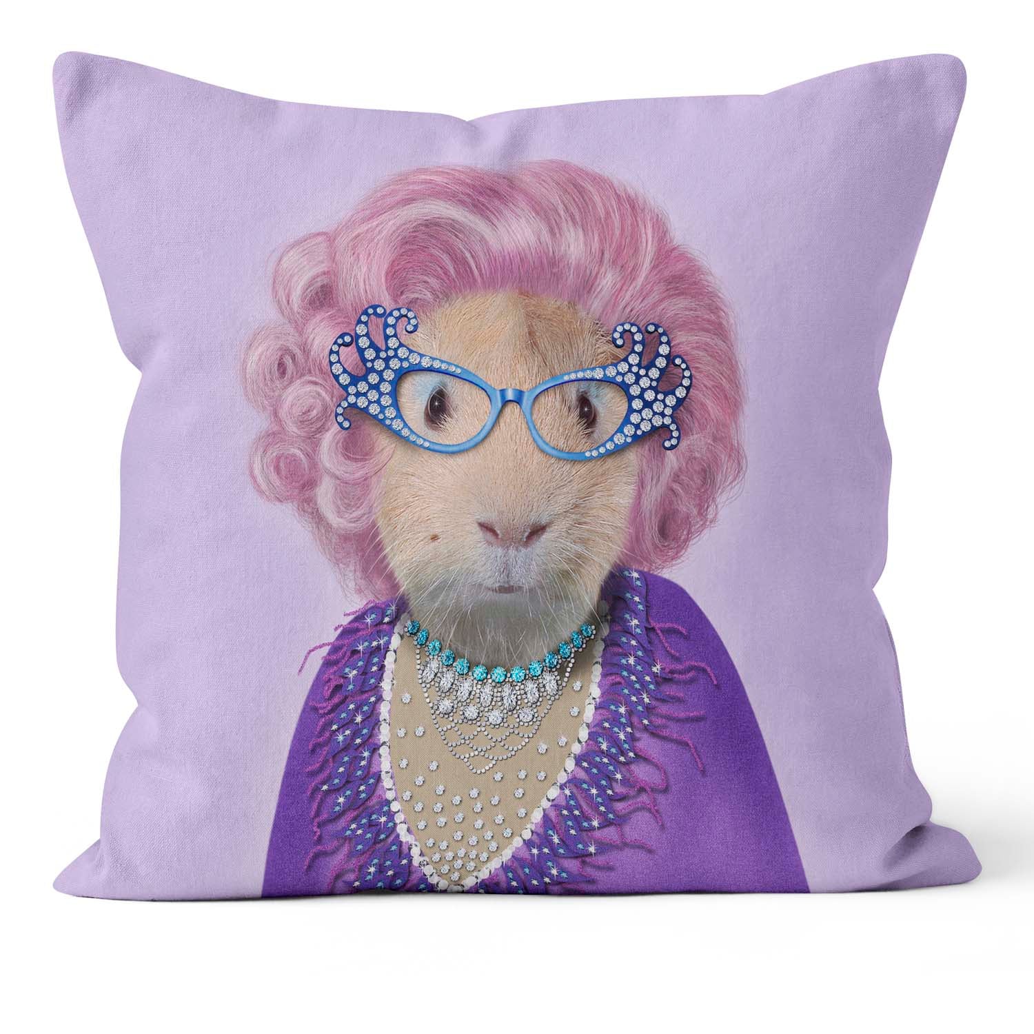 Possum - Pets Rock Cushion