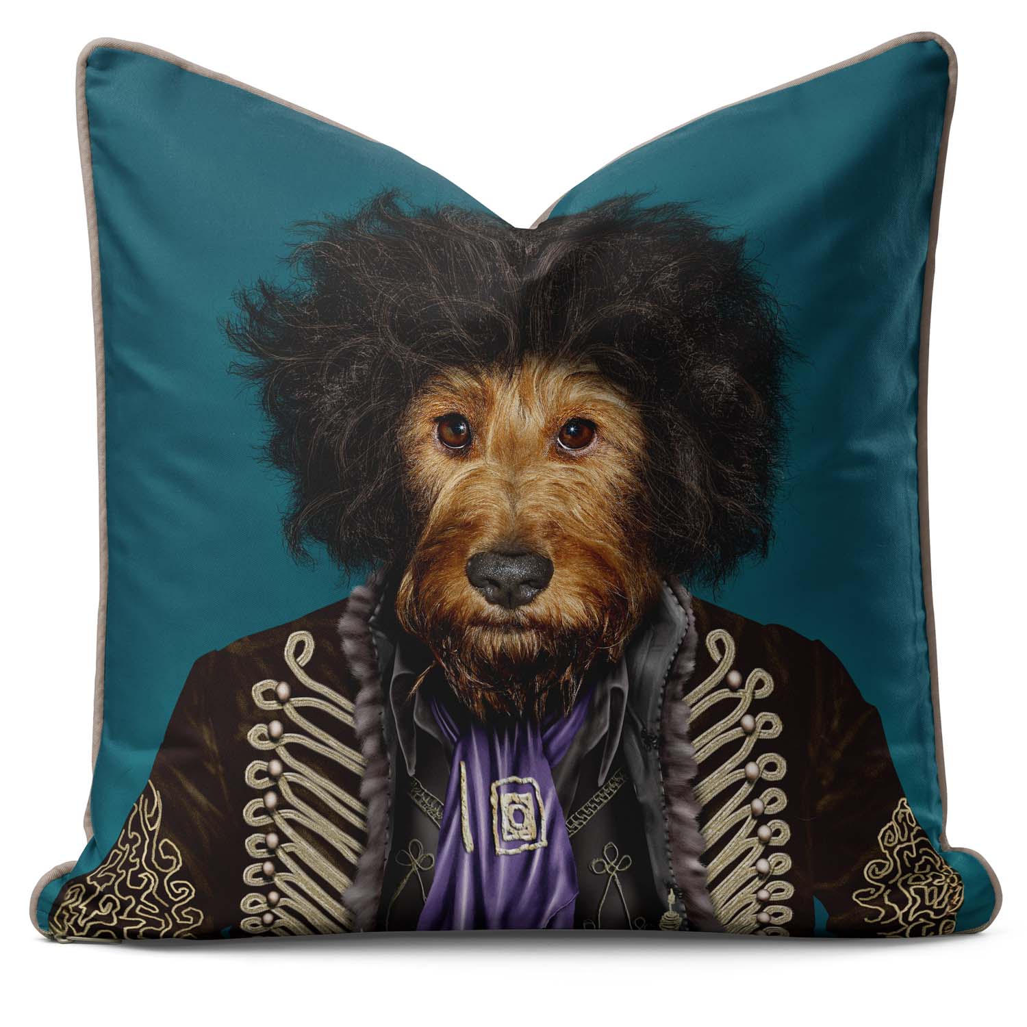 Psychedelic - Pets Rock Cushion