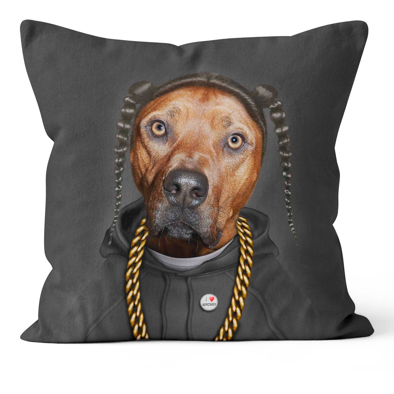 Rap - Pets Rock Cushion