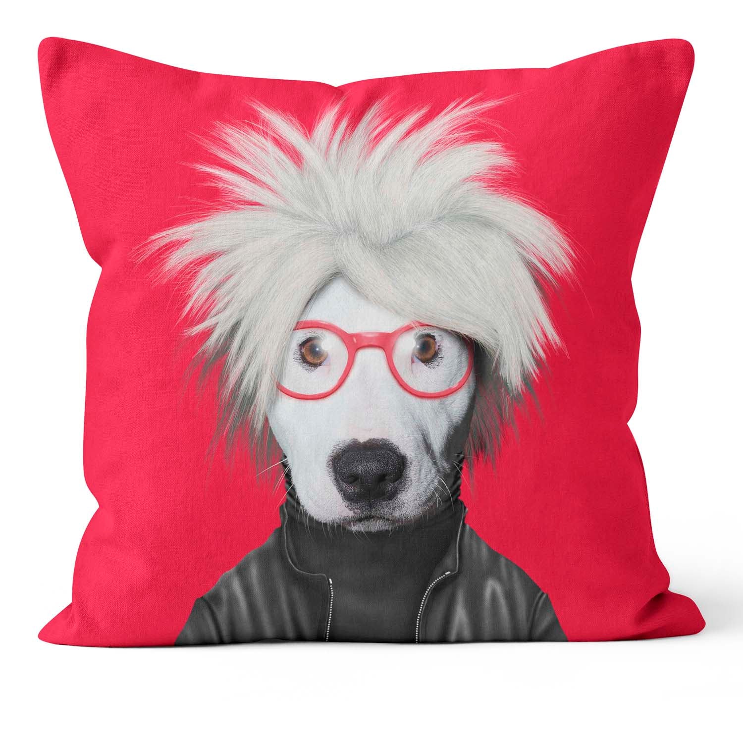 Soup Red - Pets Rock Cushion