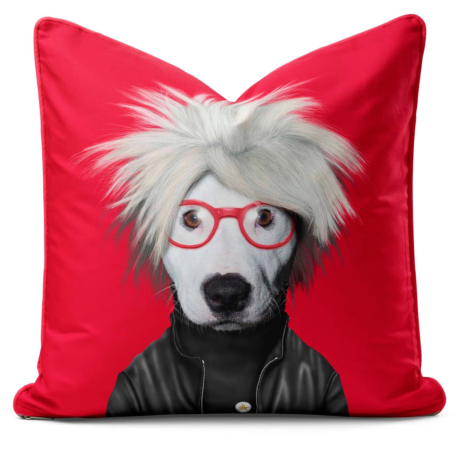 Soup Red - Pets Rock Cushion