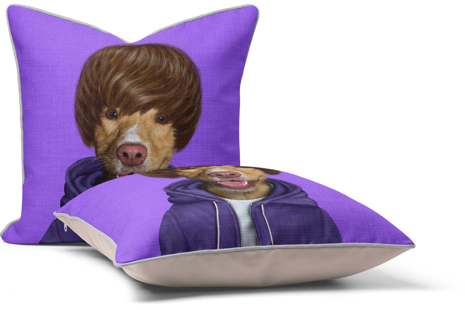 Teen - Pets Rock Cushion