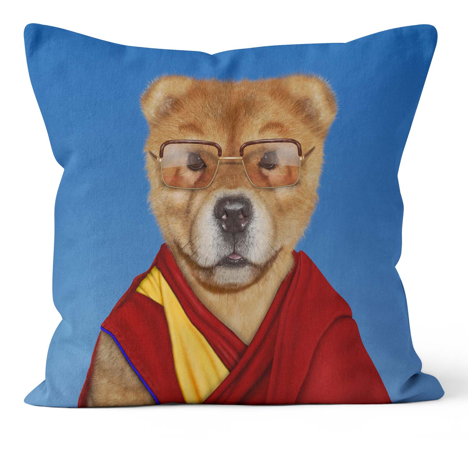 Tibet - Pets Rock Cushion