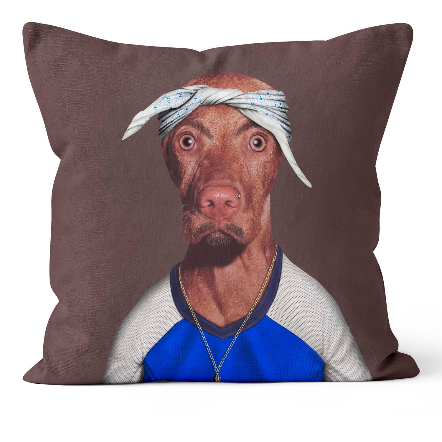 Two Rap - Pets Rock Cushion