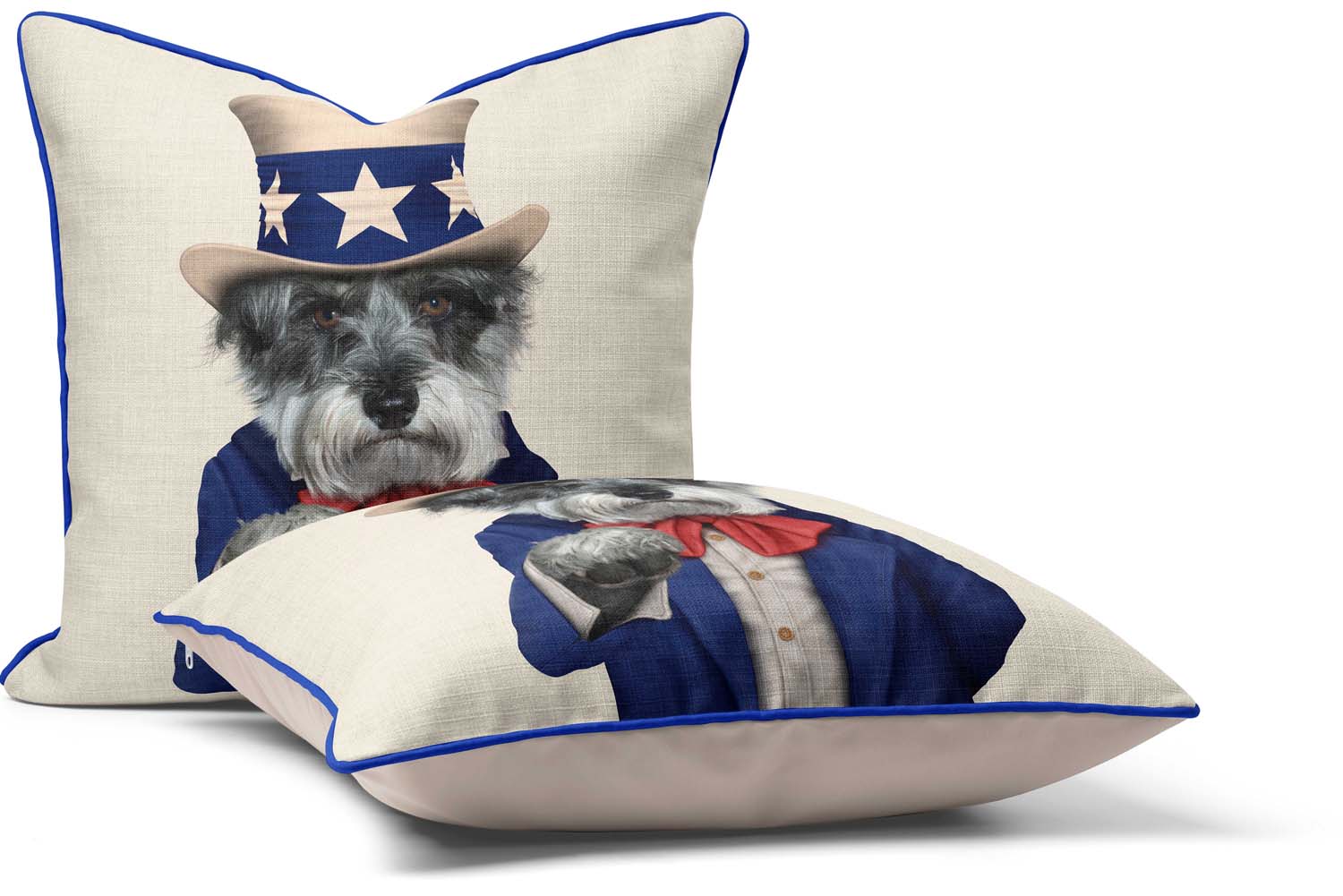 Uncle Sam - Pets Rock Cushion