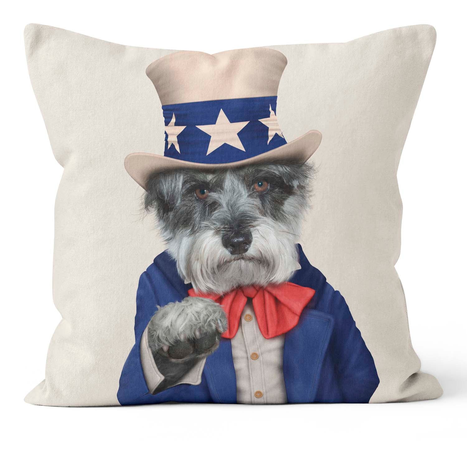 Uncle Sam - Pets Rock Cushion