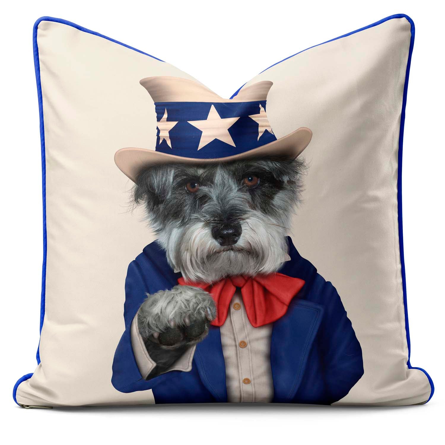 Uncle Sam - Pets Rock Cushion