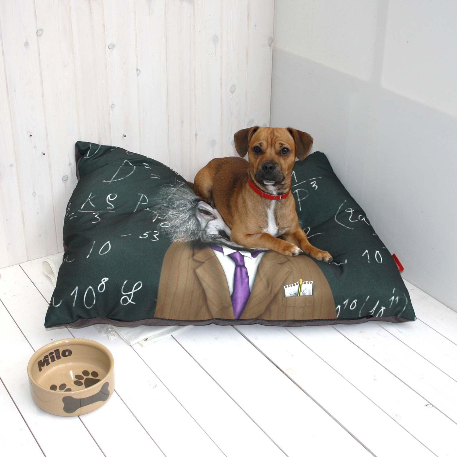 Brain - Pets Rock - Luxury Dog Bed