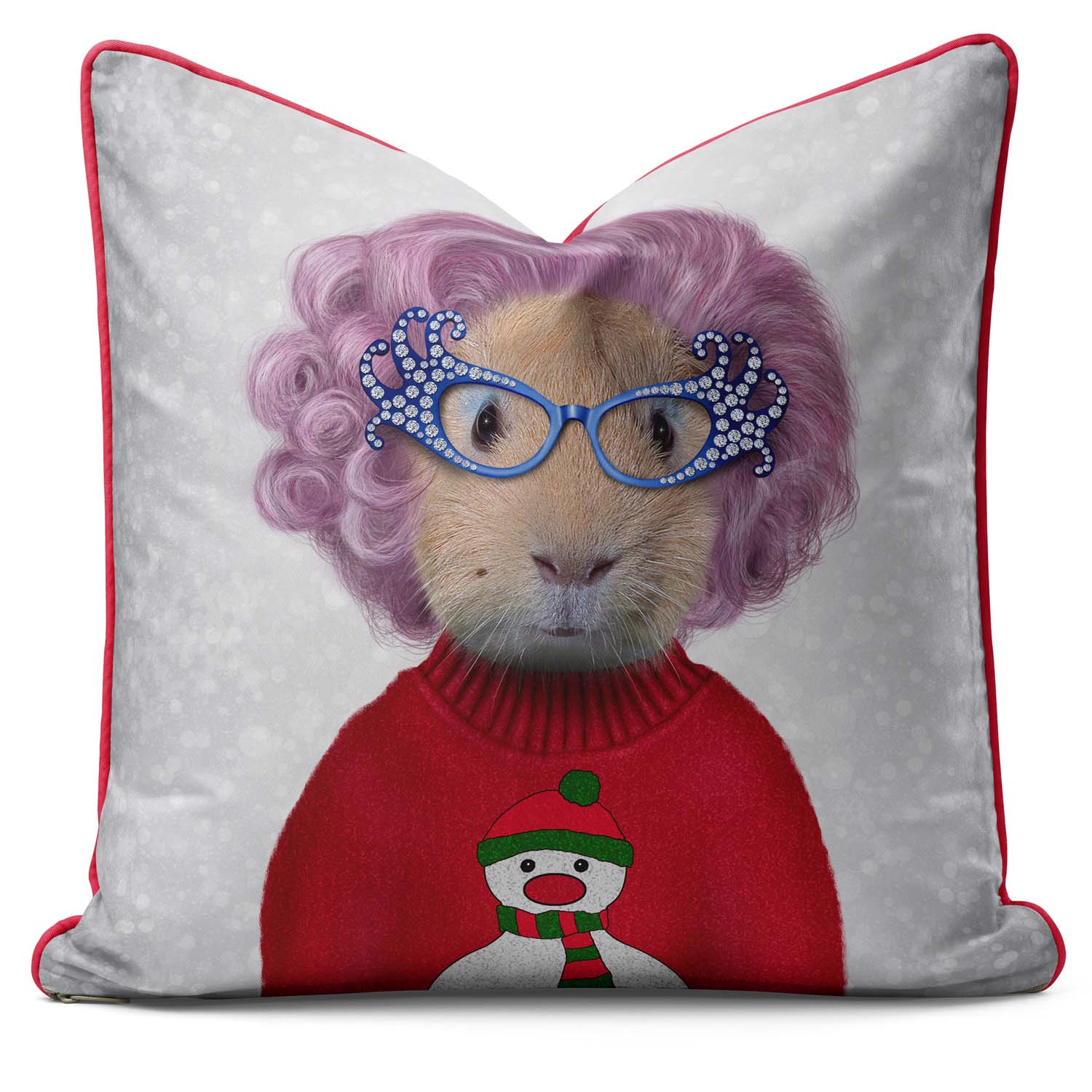 Christmas Possum  - Pets Rock Cushion