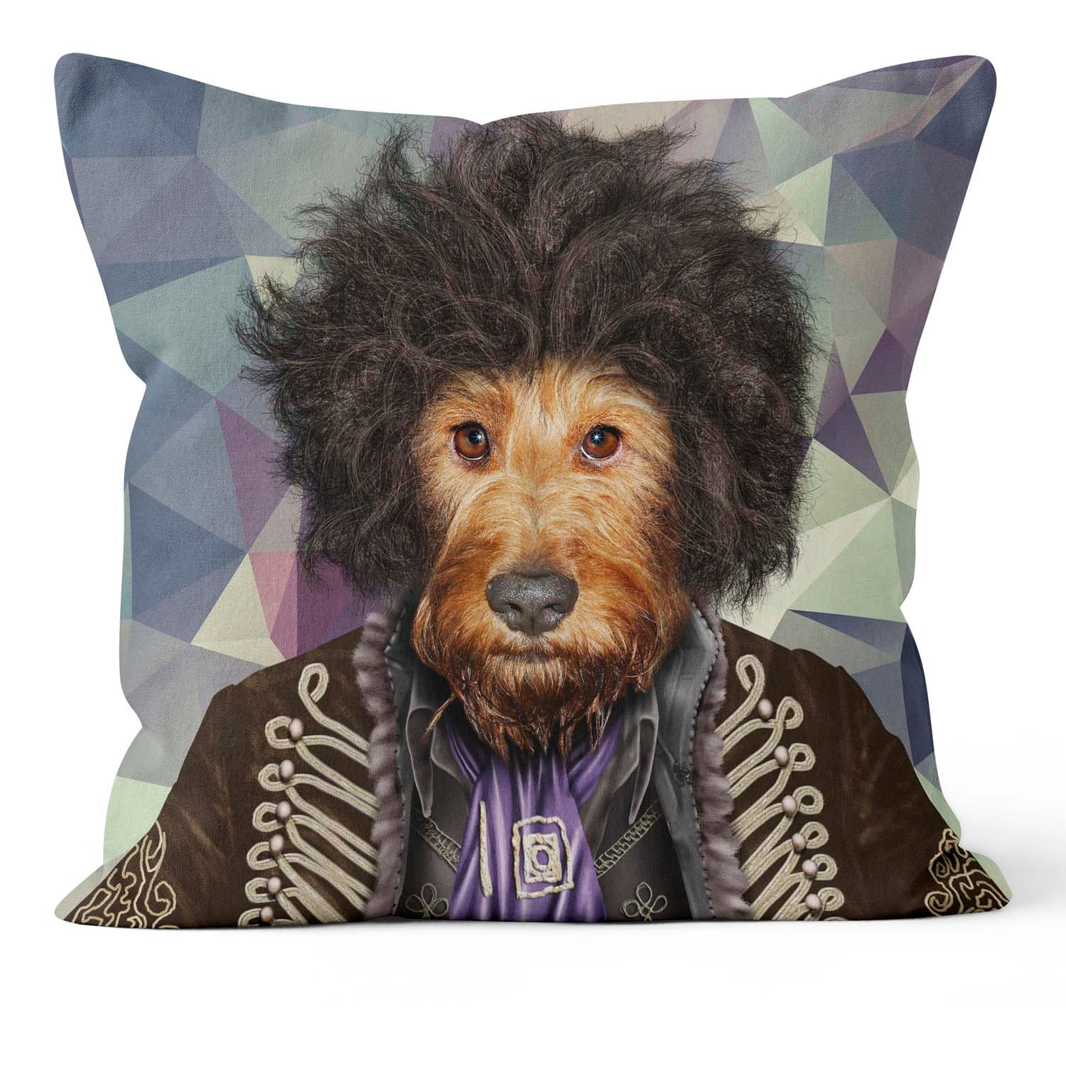 Psychedelic Geometric - Pets Rock Cushion