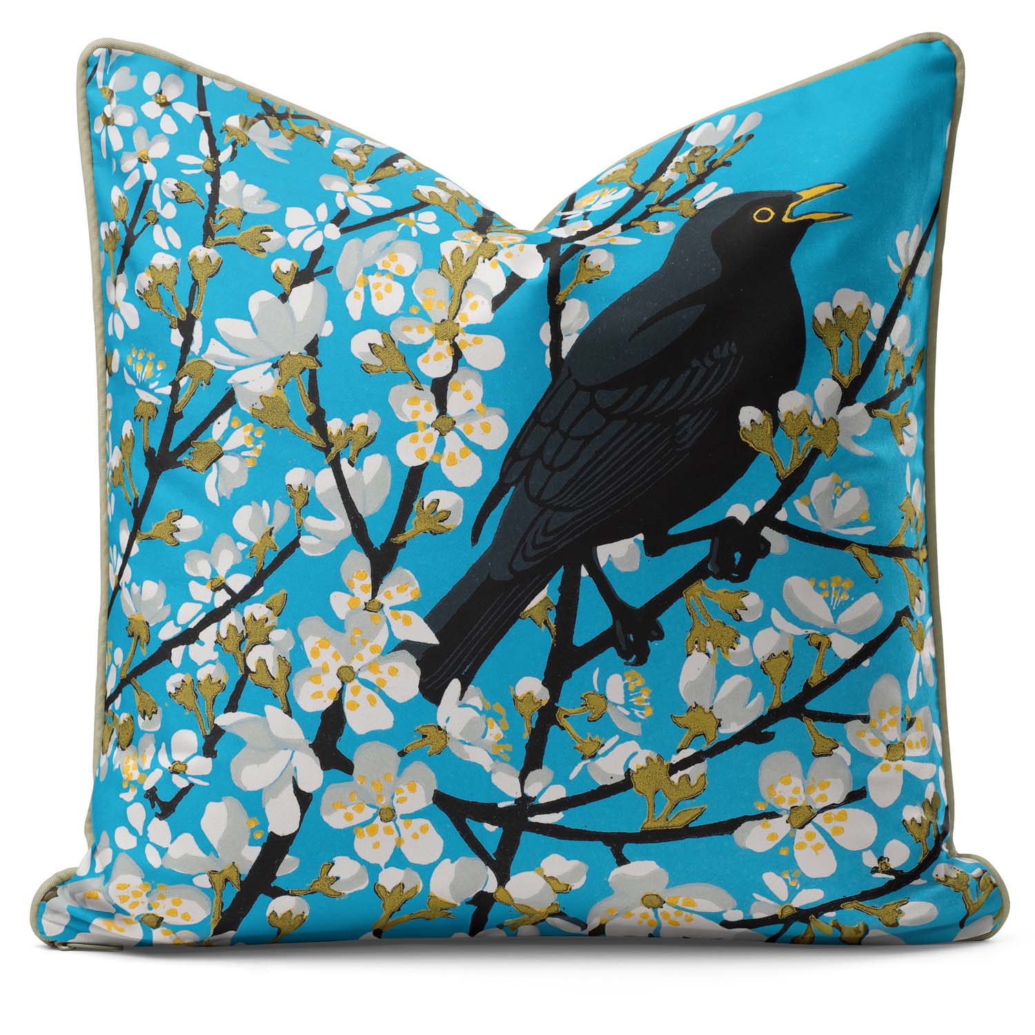 A square piped cushion, blue background, pretty white flowers and a blackbird on the front.