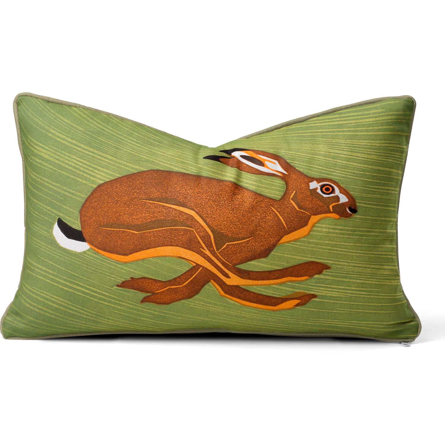 Hurry Hare - Robert Gillmor Cushion