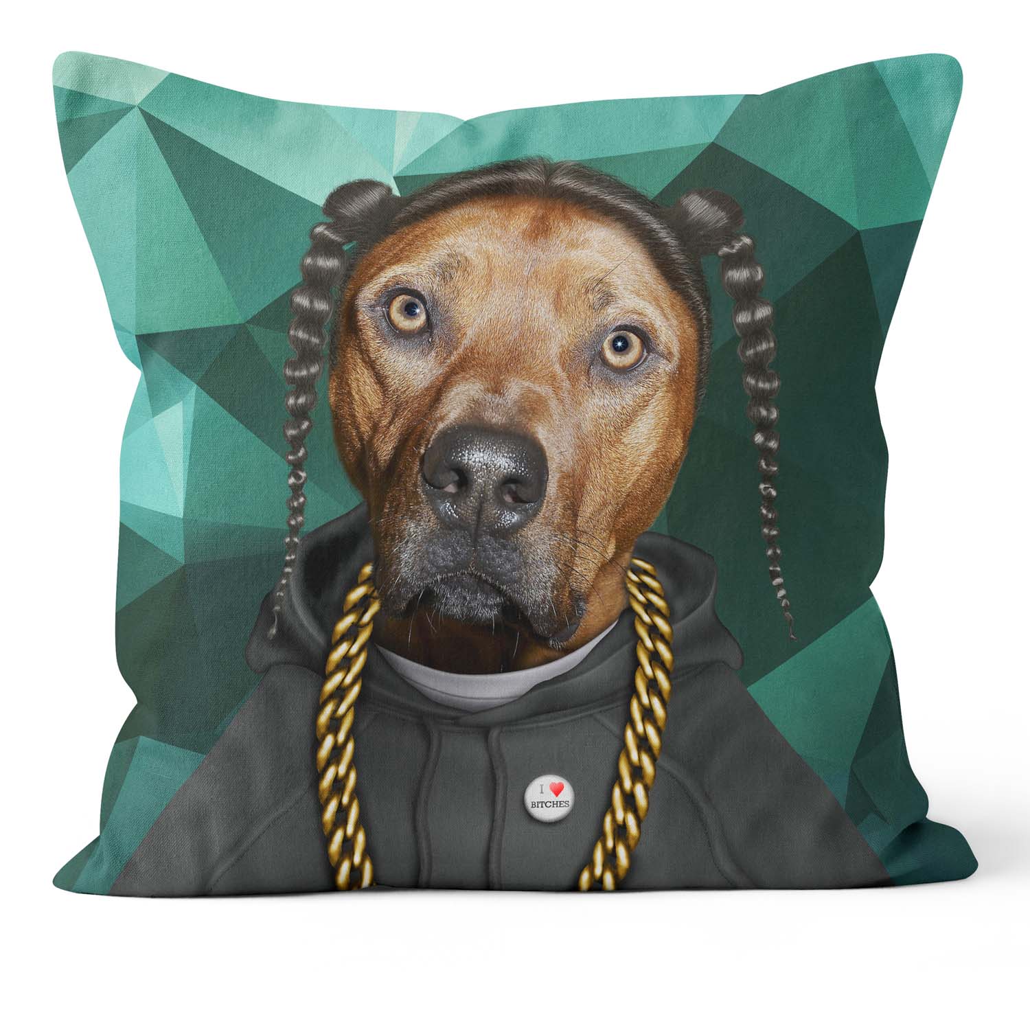 Rap Geometric - Pets Rock Cushion