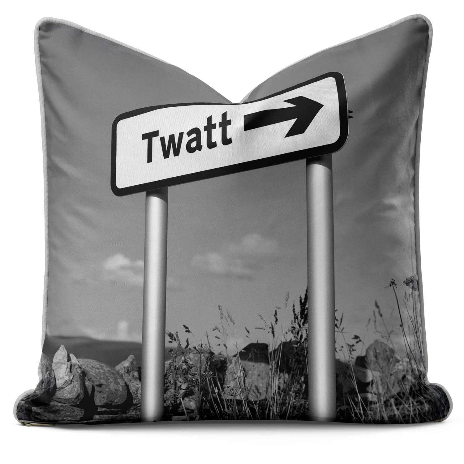 Twat -  Lesser Spotted Britain Cushion