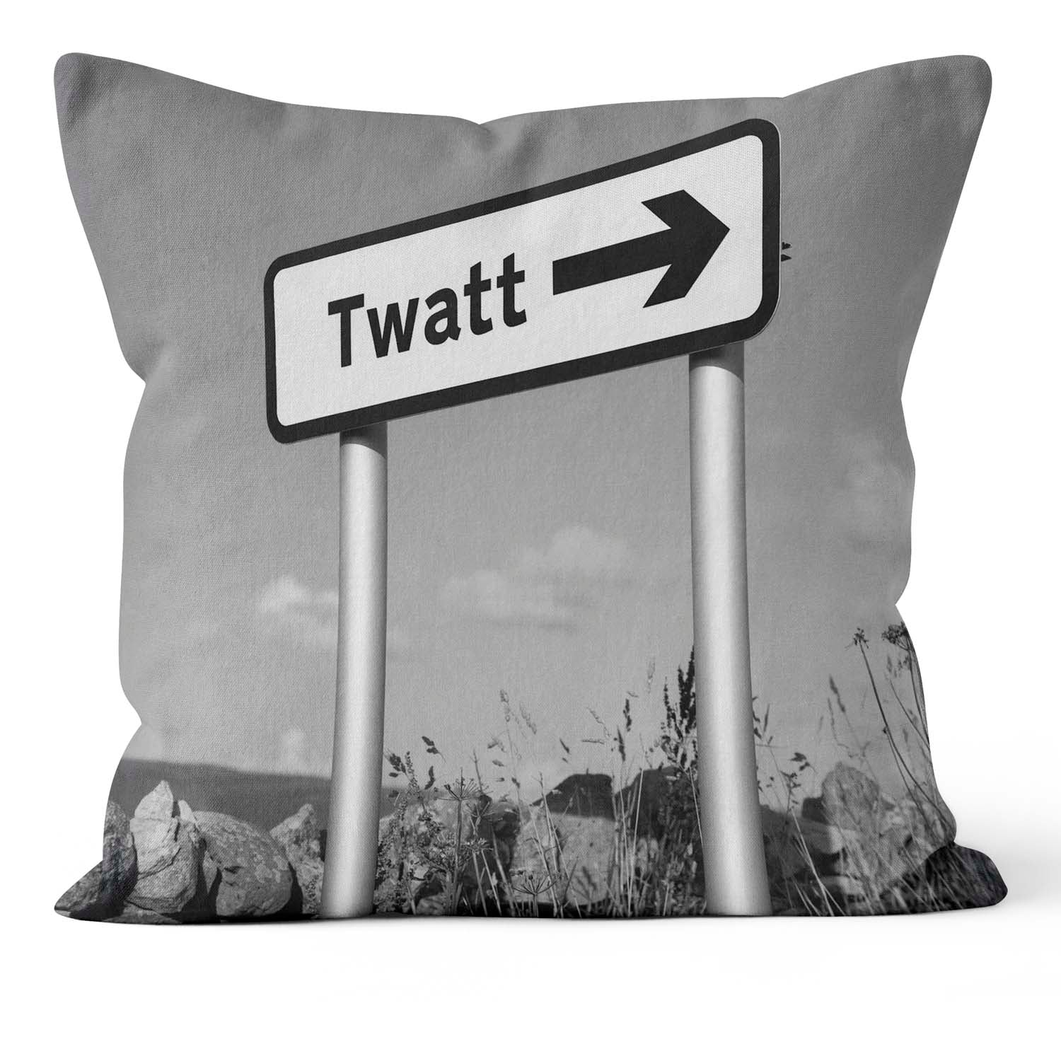 Twat -  Lesser Spotted Britain Cushion