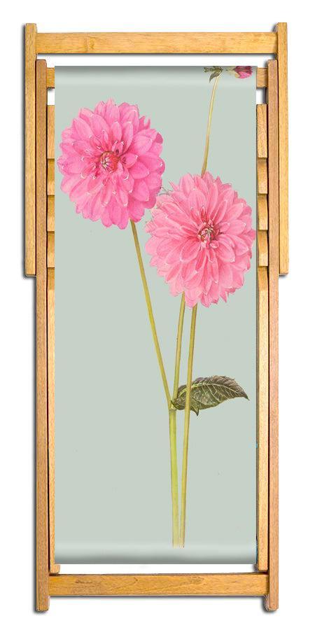 Cheal's Pink - Alfred Wise Botanical Art Print Deckchair