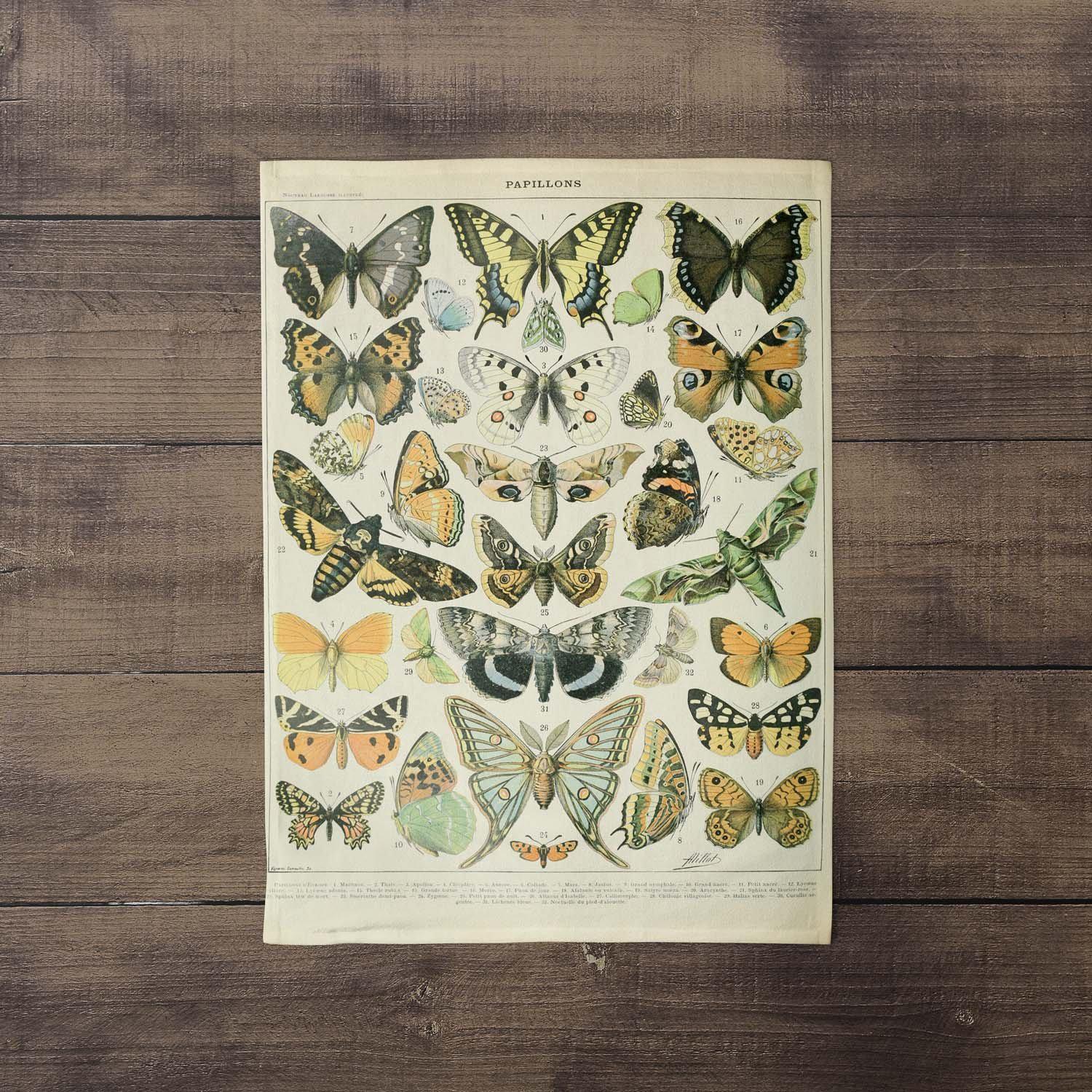 Adolphe Millot - Papillons - Tea Towel