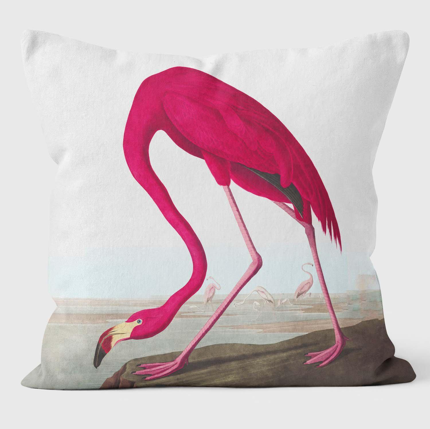 American Flamingo - Birds Of America Cushions - Handmade Cushions UK - WeLoveCushions