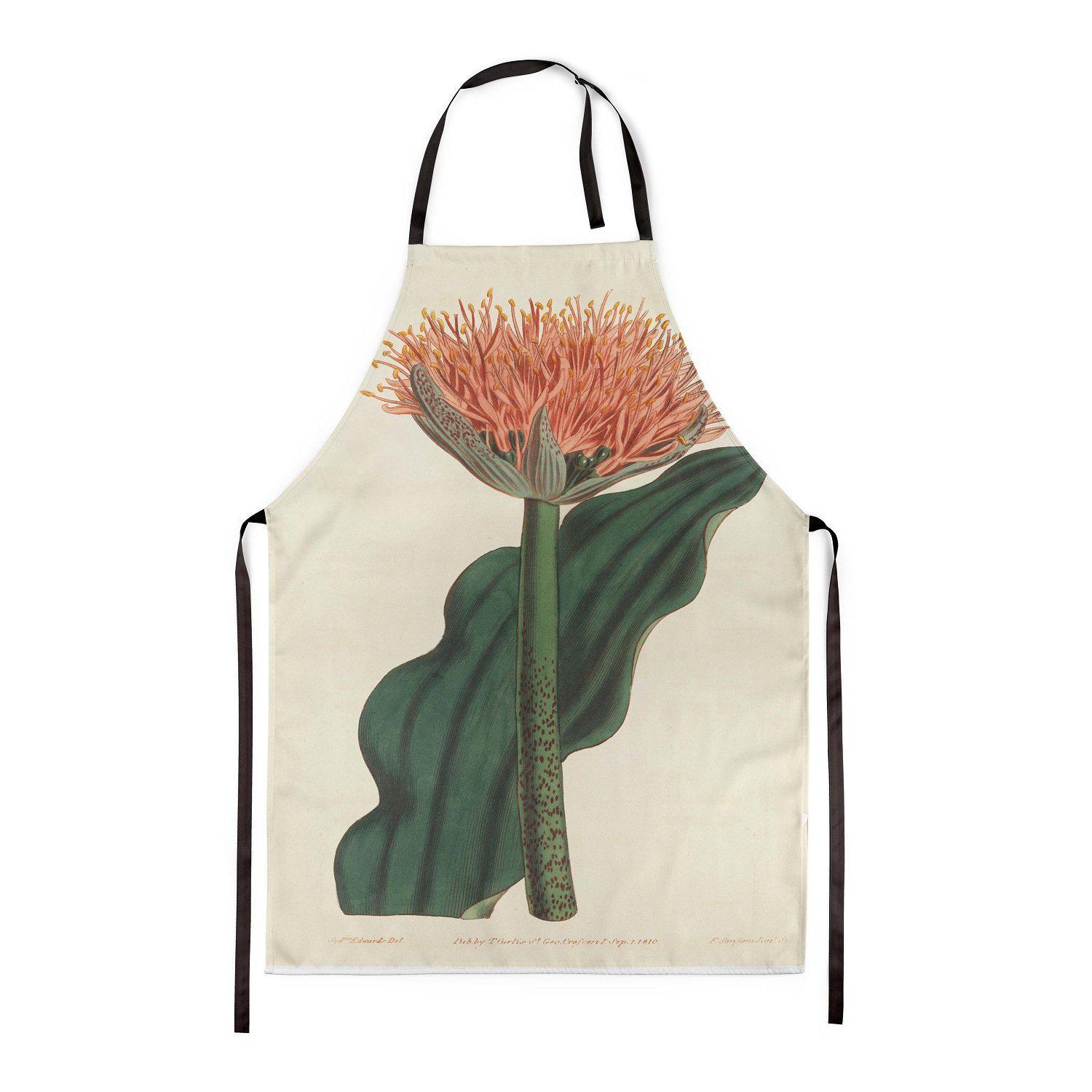 Paintbrush Lily  - Botanical Apron