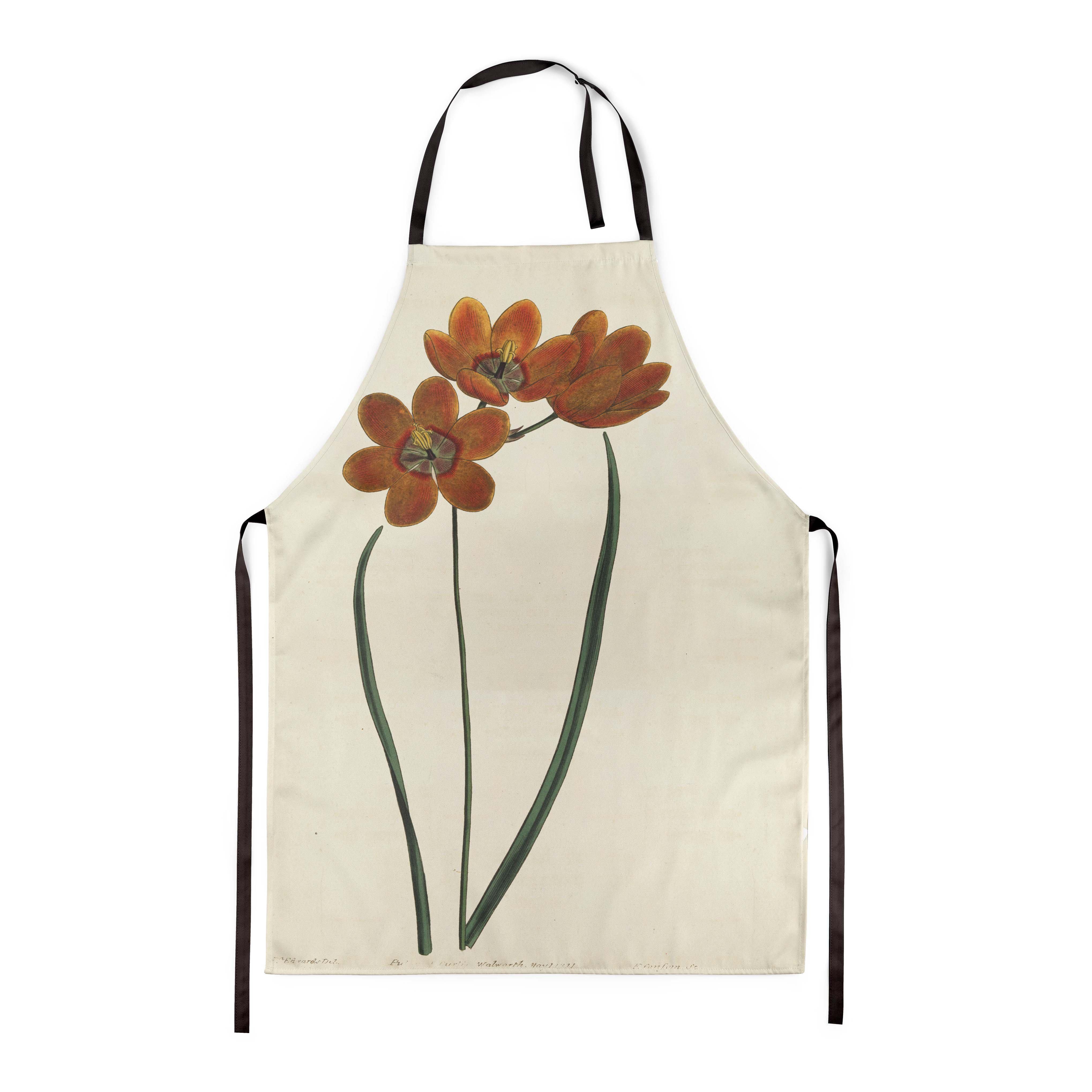 Orange Monadelpha - Botanical Apron
