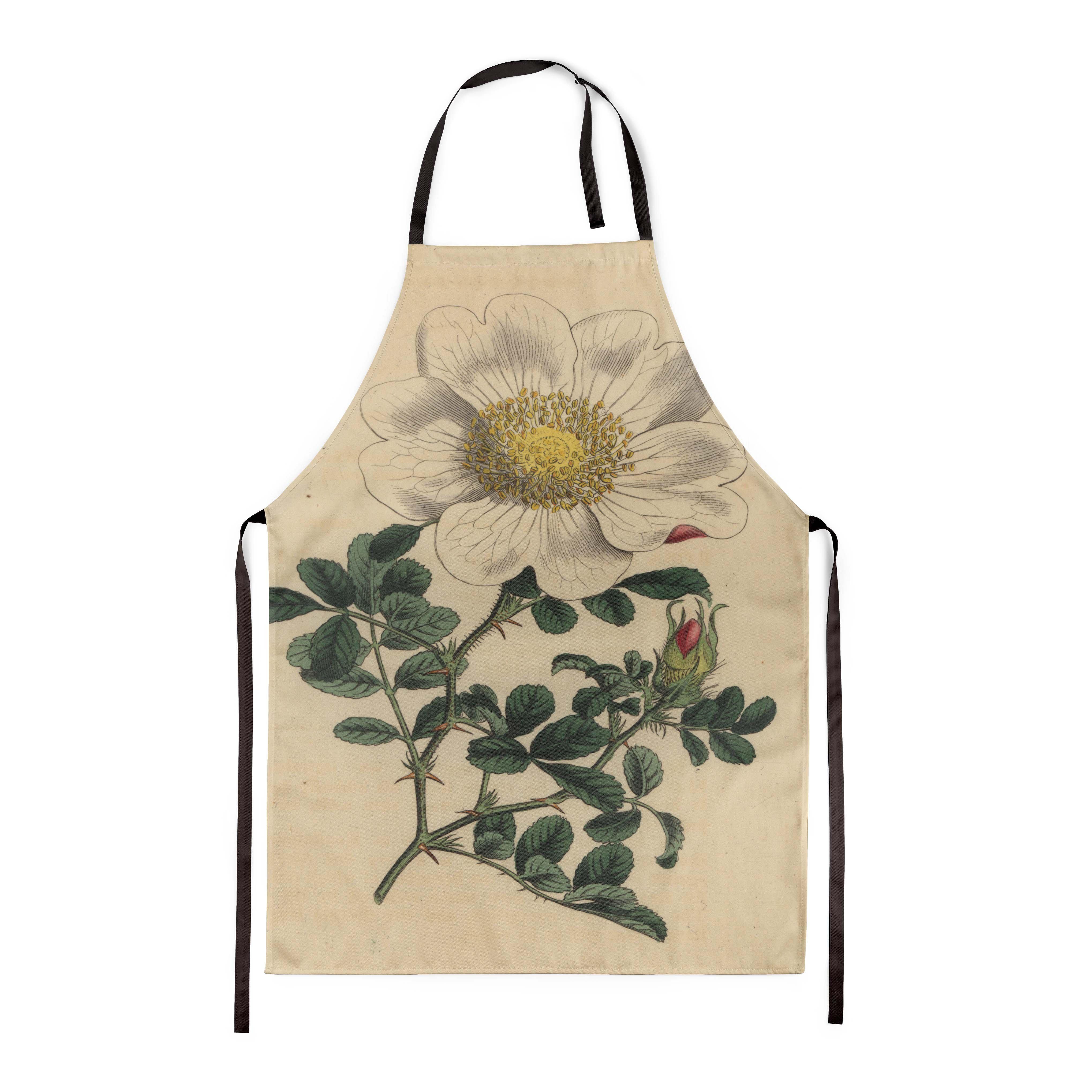 Macartney's Rose - Botanical Apron
