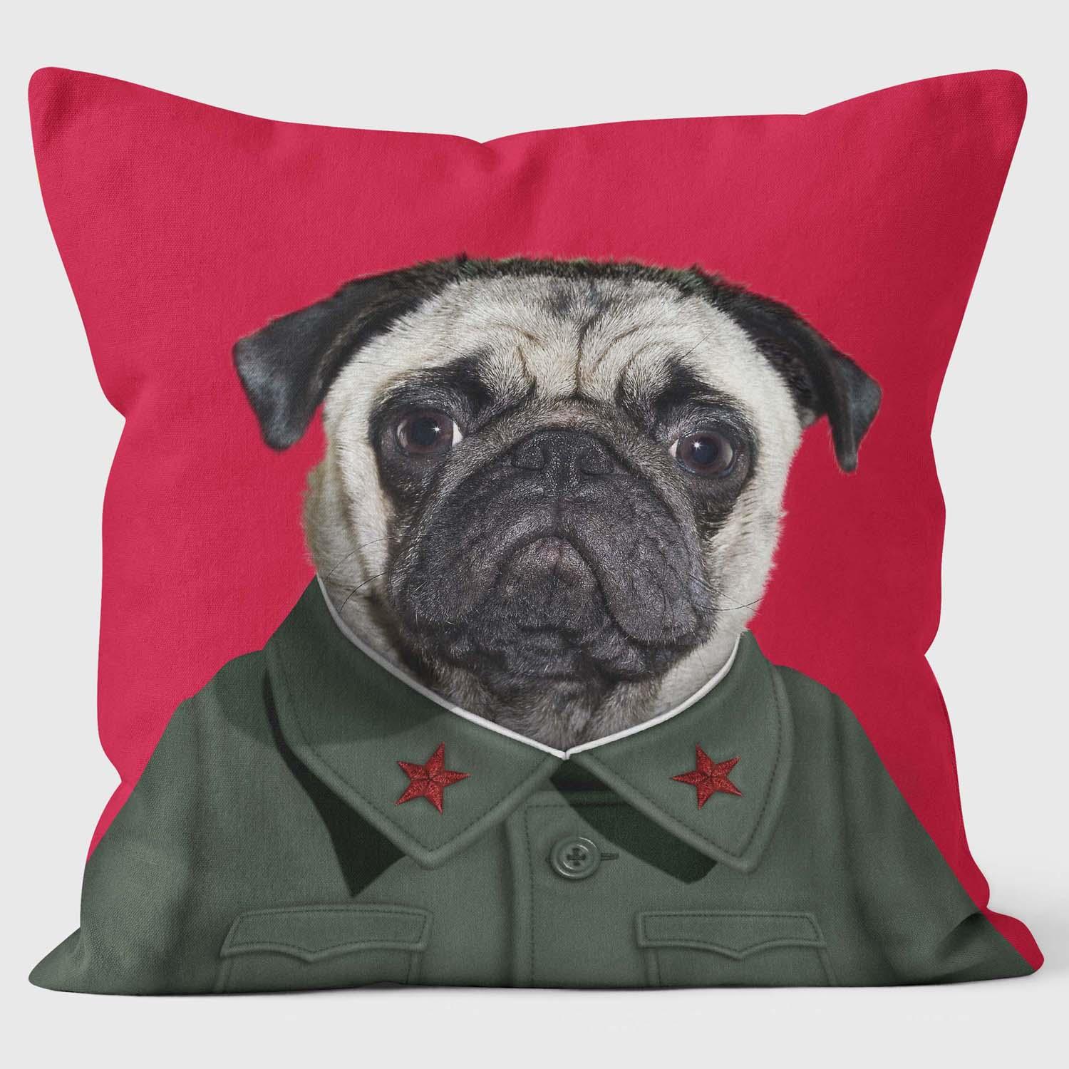 China - Pets Rock Cushion - Handmade Cushions UK - WeLoveCushions