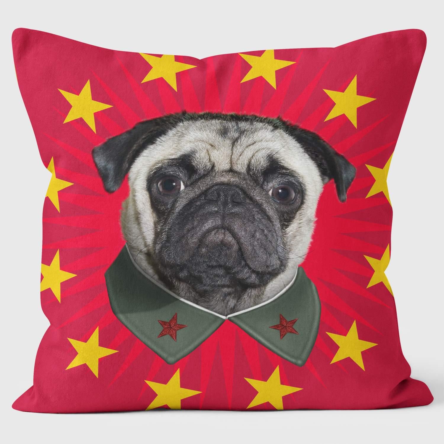 China Starburst - Pets Rock Cushion - Handmade Cushions UK - WeLoveCushions