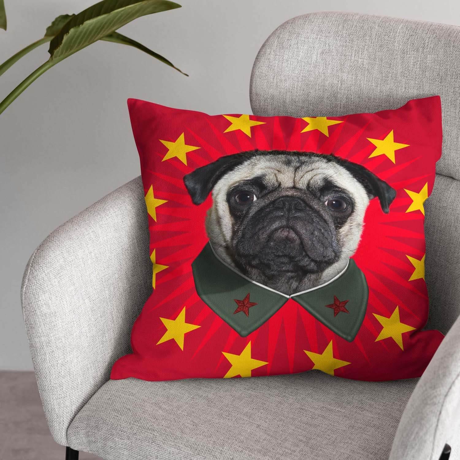 China Starburst - Pets Rock Cushion