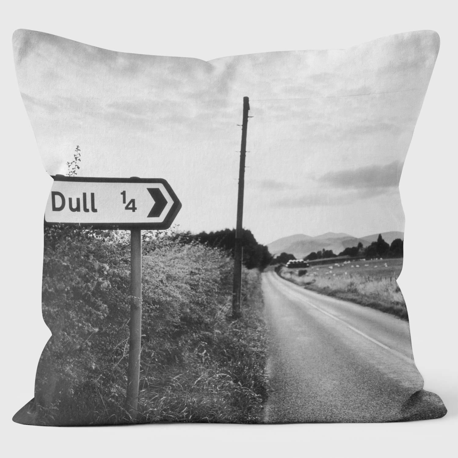 Dull - Lesser Spotted Britain Cushion - Handmade Cushions UK - WeLoveCushions