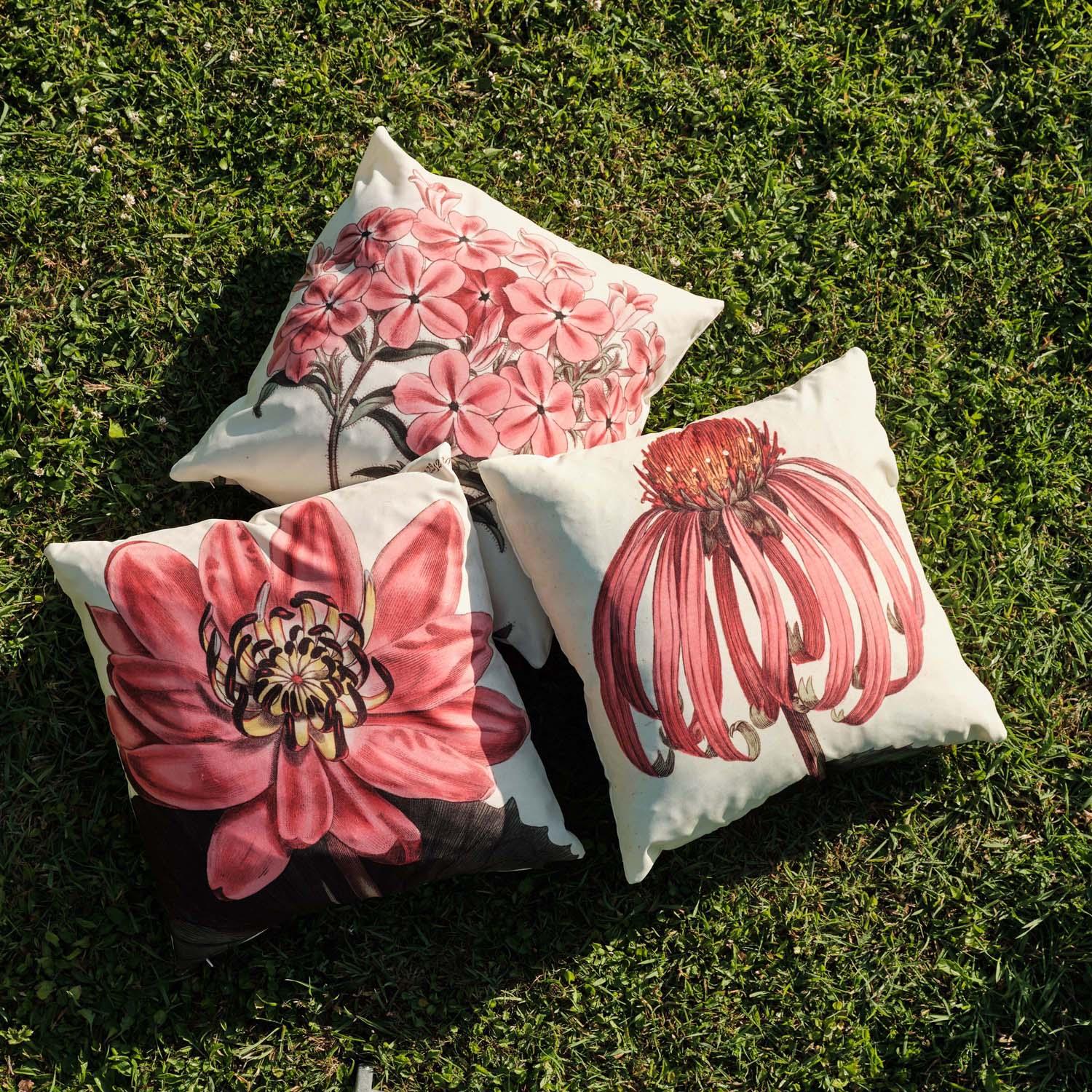 Eastern Poppy - Botanical Outdoor Cushion - Handmade Cushions UK - WeLoveCushions