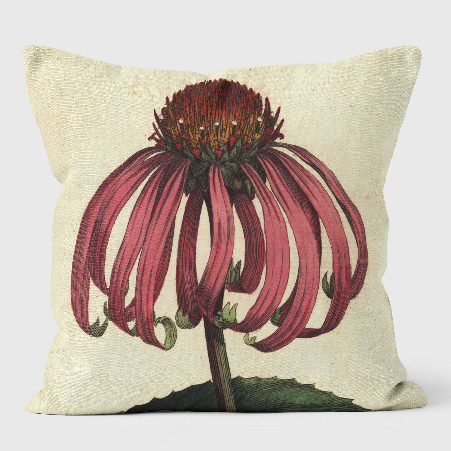 Echineacea Purpurea - Botanical Cushion - Handmade Cushions UK - WeLoveCushions