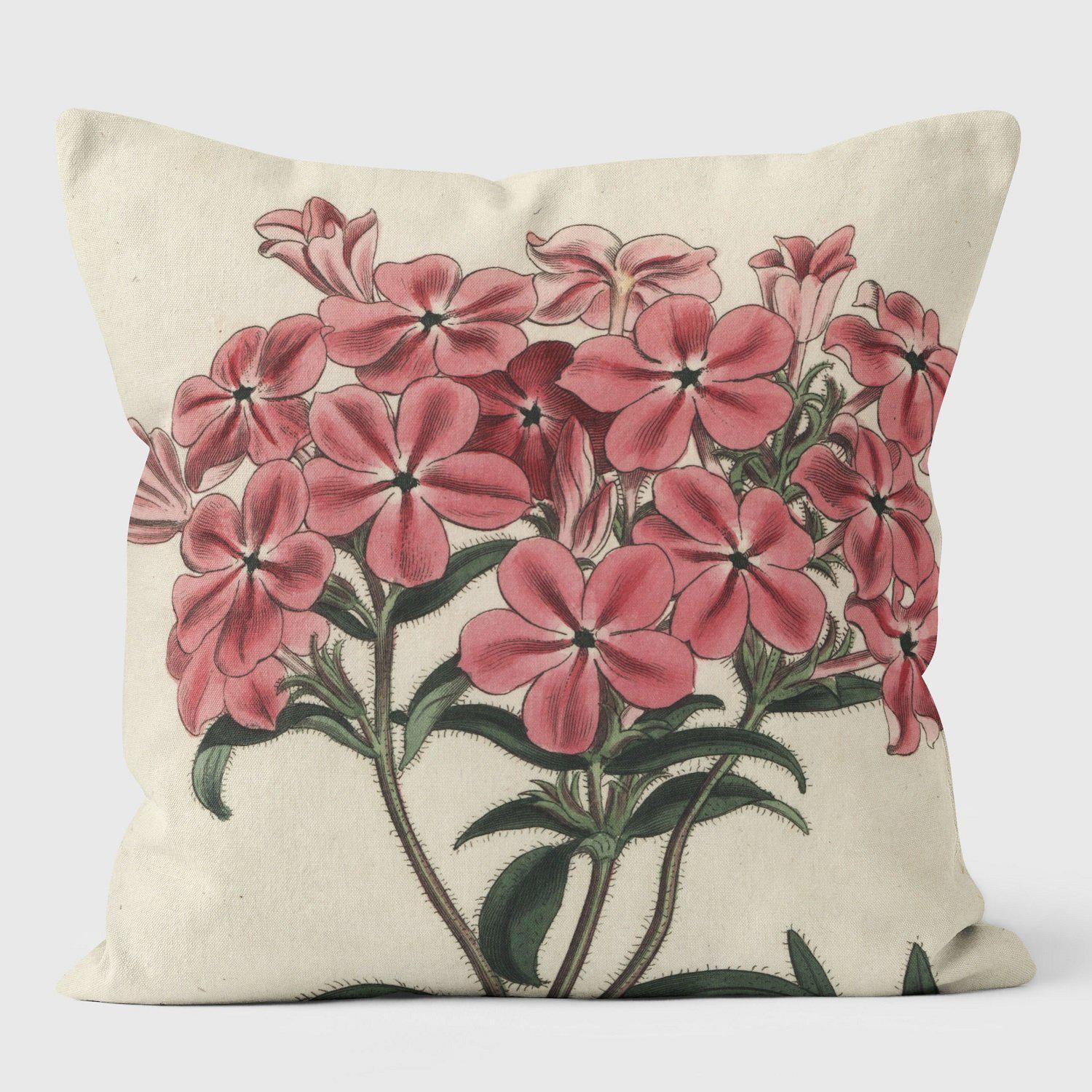 Frasers Hairy Phlox - Botanical Cushion - Handmade Cushions UK - WeLoveCushions