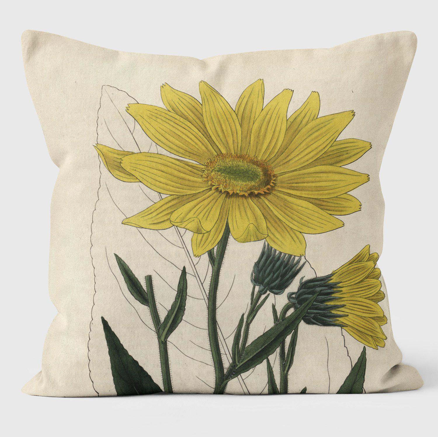 Helianthus - Botanical Cushion - Handmade Cushions UK - WeLoveCushions